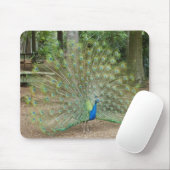 Peacock Muismat (Met muis)