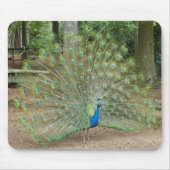 Peacock Muismat (Voorkant)