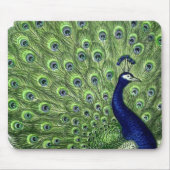  Peacock Muismat (Voorkant)