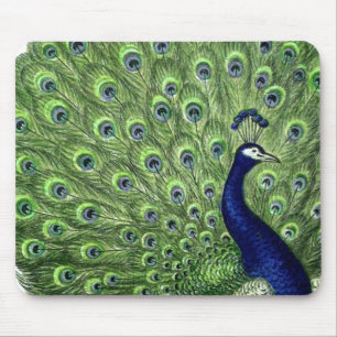 Peacock Muismat