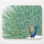  Peacock Muismat (Voorkant)