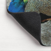 Peacock Muismat (Hoek)