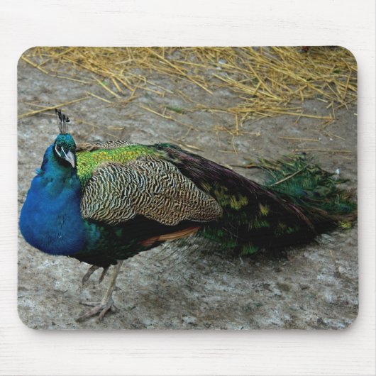 Peacock Muismat (Voorkant)