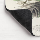 Peacock Muismat (Hoek)