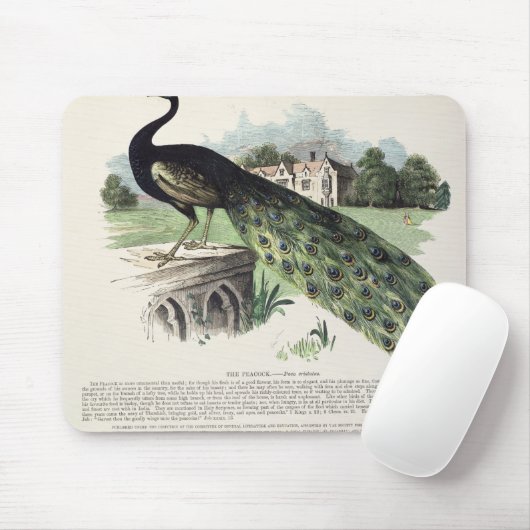 Peacock Muismat (Met muis)