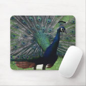 Peacock Muismat (Met muis)