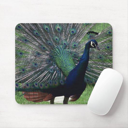 Peacock Muismat (Met muis)