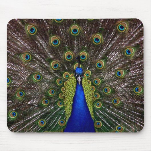 Peacock-Muismat Muismat (Voorkant)