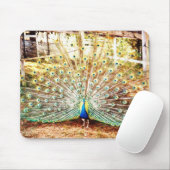 Peacock-Muismat Muismat (Met muis)