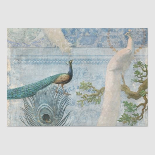 Peacock n Feathers Blue en White Craft Decoupage Tissuepapier (Voorkant)