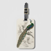  Peacock Natuurhistorisch Print Bagagelabel (Voorkant (verticaal))