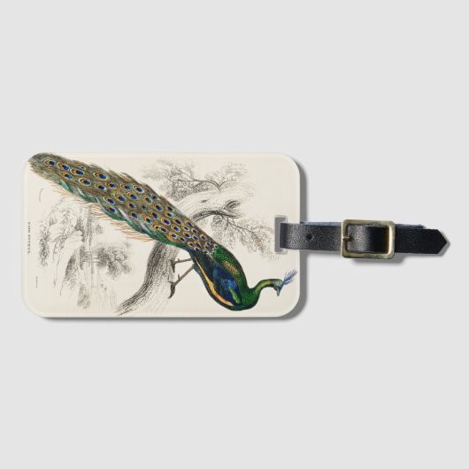  Peacock Natuurhistorisch Print Bagagelabel (Voorkant (horizontaal))