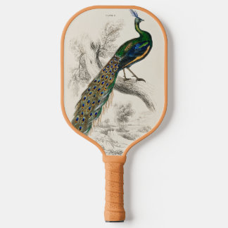  Peacock Natuurhistorisch Print Pickleball Paddle