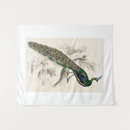  Peacock Natuurhistorisch Print Wandkleed (Voorkant (horizontaal))