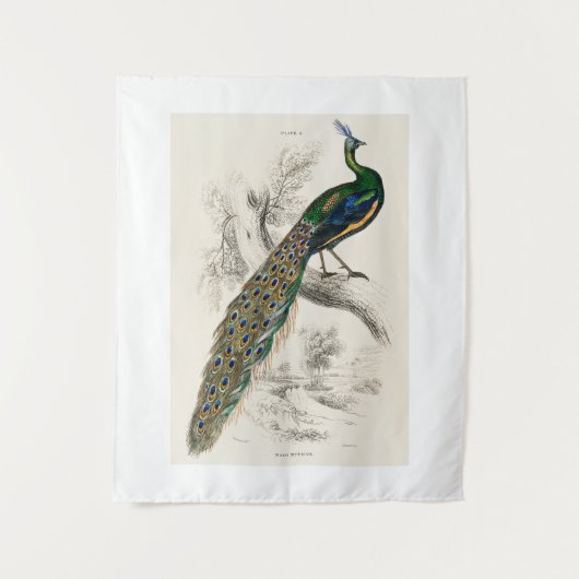  Peacock Natuurhistorisch Print Wandkleed (Voorkant)