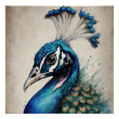 Peacock no 6 Glanzend Poster (Voorkant)
