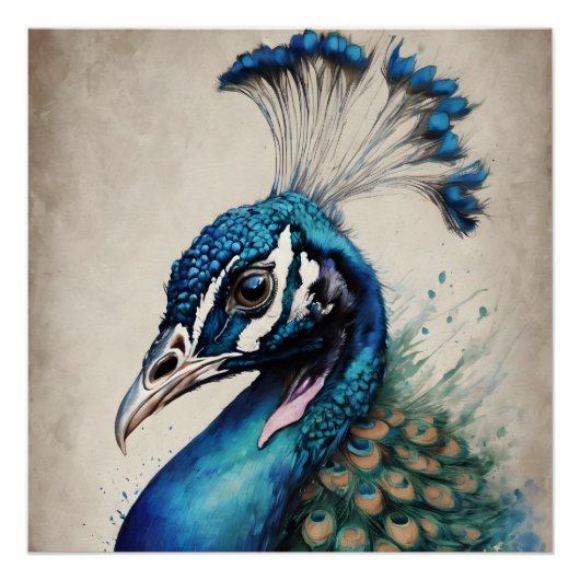 Peacock no 6 Glanzend Poster (Voorkant)