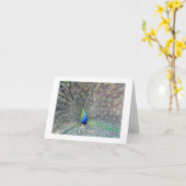 Peacock Note Kaart (Gele Bloem)