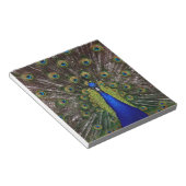 Peacock Notitieblok (Schuin)