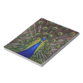 Peacock Notitieblok (Linkerzijde)