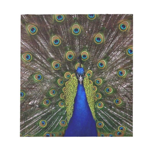 Peacock Notitieblok (Voorkant)