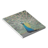Peacock Notitieblok (Schuin)