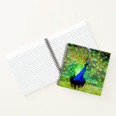 Peacock Notitieboek (Binnen)