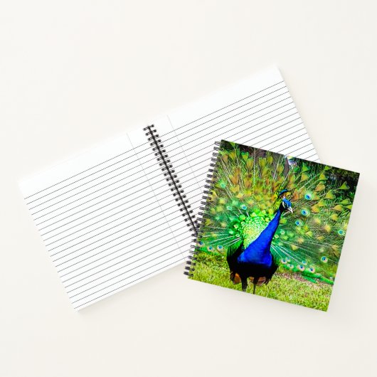 Peacock Notitieboek (Binnen)