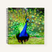Peacock Notitieboek (Voorkant)