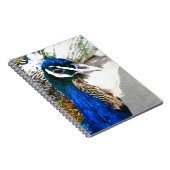 Peacock Notitieboek (Rechterzijde)