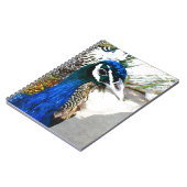 Peacock Notitieboek (Linkerzijde)