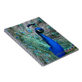 Peacock Notitieboek (Rechterzijde)