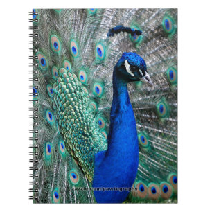 Peacock Notitieboek
