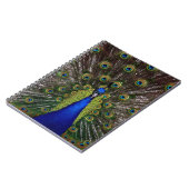 Peacock Notitieboek (Linkerzijde)