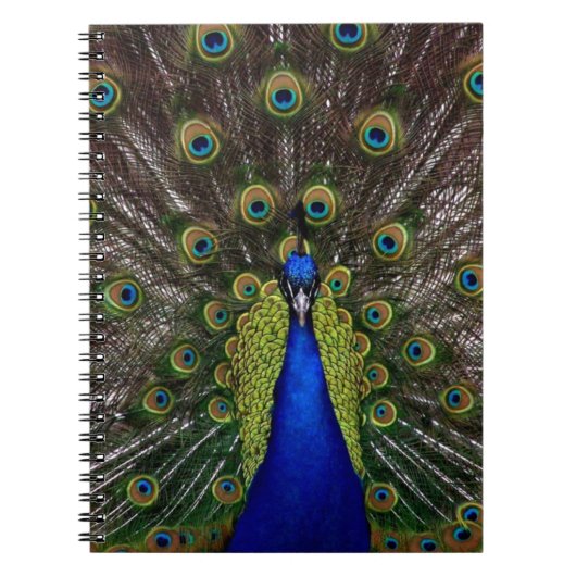 Peacock Notitieboek (Voorkant)