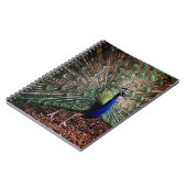 Peacock Notitieboek (Linkerzijde)