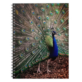 Peacock Notitieboek