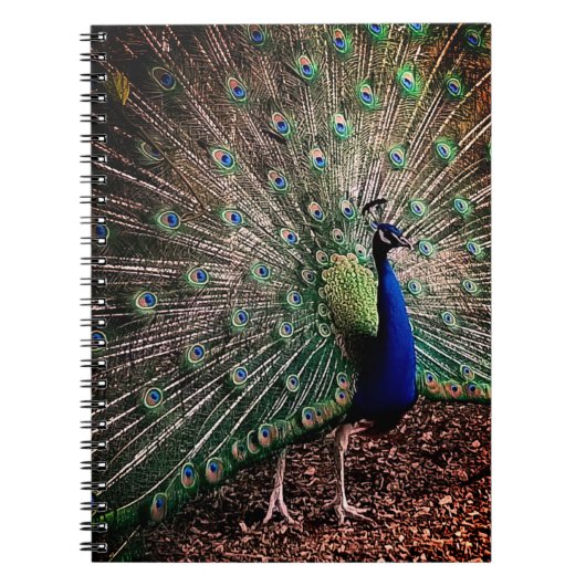 Peacock Notitieboek (Voorkant)