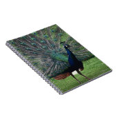 Peacock Notitieboek (Rechterzijde)