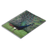 Peacock Notitieboek (Linkerzijde)