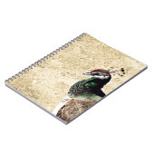Peacock Notitieboek (Linkerzijde)