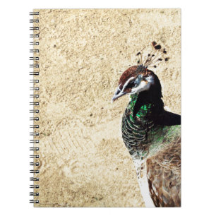 Peacock Notitieboek