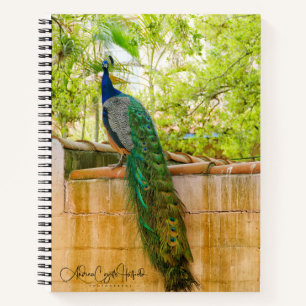 Peacock Notitieboek 1