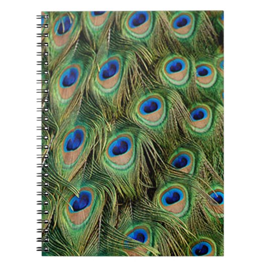 Peacock-Notitieboek Notitieboek (Voorkant)
