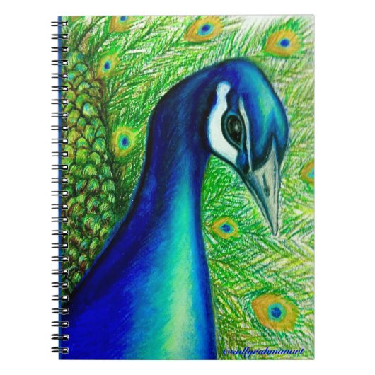 Peacock-notitieboek Notitieboek (Voorkant)