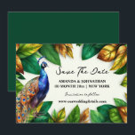 Peacock oerwoud gebladerte Tropische tuin verlovin Save The Date<br><div class="desc">Een prachtig 3D-ogend ontwerp met een enkele iriserende pauw in schitterend blauw, smaragdgroen, brons, blauwgroen en goud tegen een groene en goudkleurige bronzen bladerachtergrond die een witte inlay lijsten waarop bewerkbare vloeiende kalligrafie en vetgedrukte lettertypen erop die kunnen worden gewijzigd in elke formulering van uw keuze. Deze chique en stijlvolle...</div>