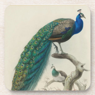  Peacock Onderzetter