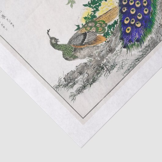 Peacock-ontkoppelpapier Tissuepapier (Detail)