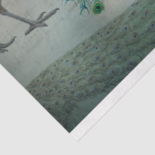 Peacock-ontkoppelpapier Tissuepapier (Detail)