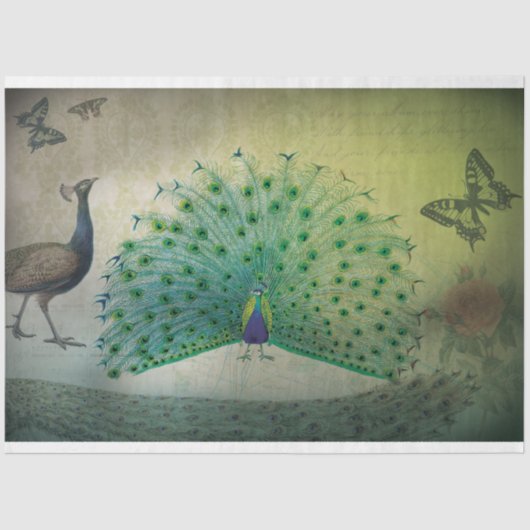 Peacock-ontkoppelpapier Tissuepapier (Voorkant)